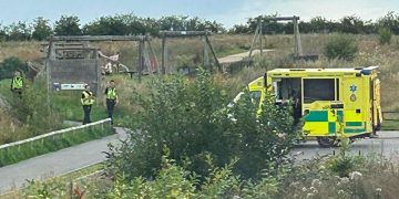 Boy, 12, rushed to hospital with serious injuries after park incident