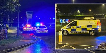 Child reportedly dies in serious incident near Wiltshire skatepark