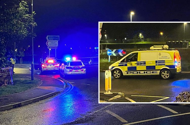 Child reportedly dies in serious incident near Wiltshire skatepark