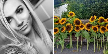 21 sunflowers left for mum who died in Devizes bridge horror crash
