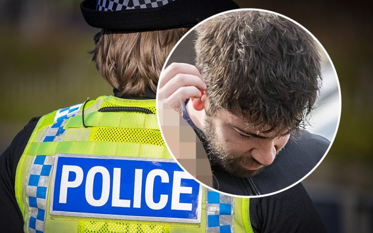Swindon paedophile flees after mother, 66, obstructs arresting officer