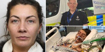 Woman who fled near-fatal crash jailed as top traffic cop speaks out
