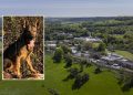 Dog sniffs out drone after package dropped into Erlestoke Prison