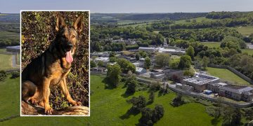 Dog sniffs out drone after package dropped into Erlestoke Prison