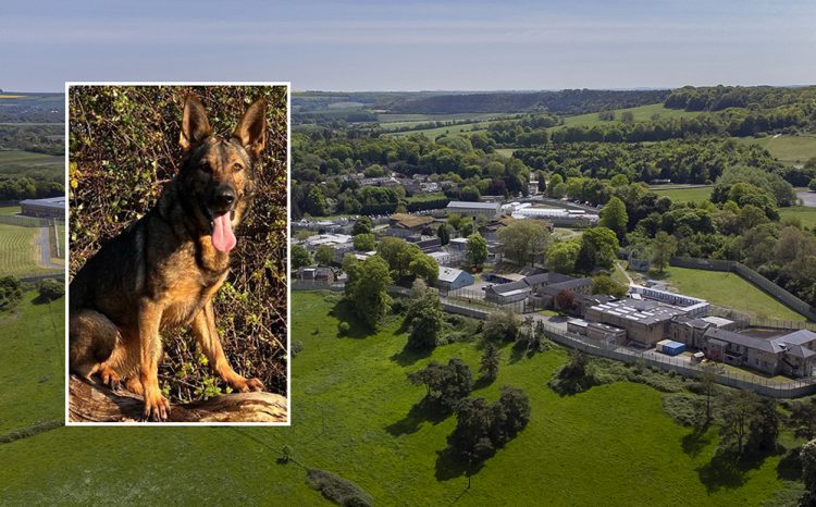 Dog sniffs out drone after package dropped into Erlestoke Prison