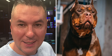 Matt Fiddes brands XL Bully ‘serious risk’ that ‘should not be a family pet’