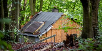 Man refuses to demolish shed he built on protected Wiltshire woodland
