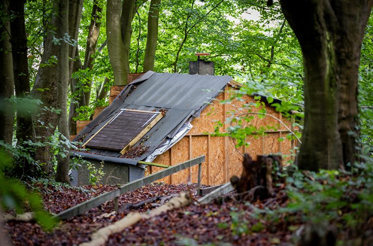 Man refuses to demolish shed he built on protected Wiltshire woodland
