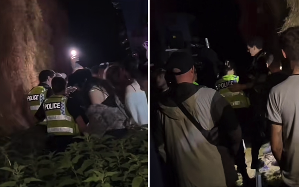 Hundreds gather for huge rave in Wiltshire as police make two arrests 