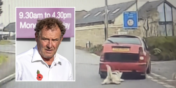 Farmer dragged dog behind car and hid battered body from worried cops