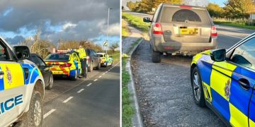 Dogs seized after police called to suspected hare coursing near Calne