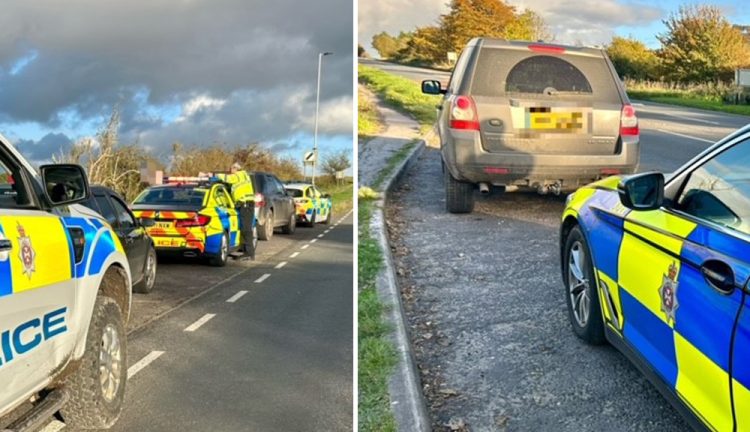 Dogs seized after police called to suspected hare coursing near Calne