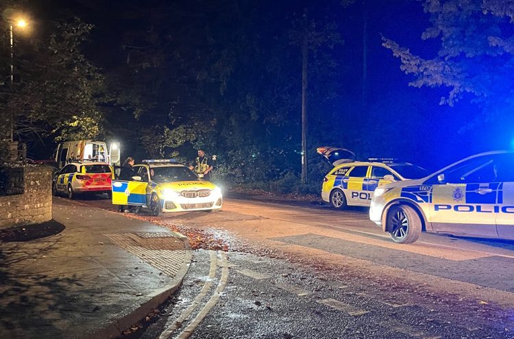 Disqualified driver arrested in Highworth after fleeing police into bushes