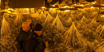 Police bust £1m cannabis factory in Bath during missing person search