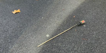 Wiltshire woman ‘called police over firework debris found on driveway’