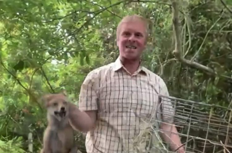 ‘Sadistic’ huntsman baited petrified fox cub in Wiltshire countryside
