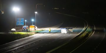 M4 Swindon: Pedestrian hit and killed in horror motorway crash