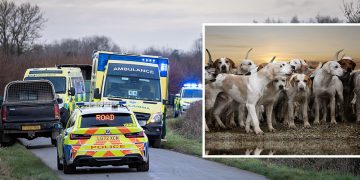 Beaufort Hunt denies involvement in near-fatal quad bike crash