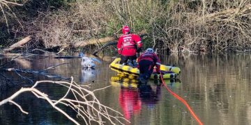 Firefighters tasked after ‘public attempt to rescue swan’ on icy lake
