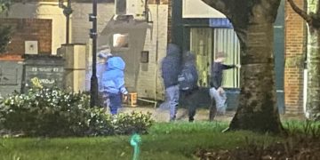 Youths sought after disabled person’s dog hit by shopping basket