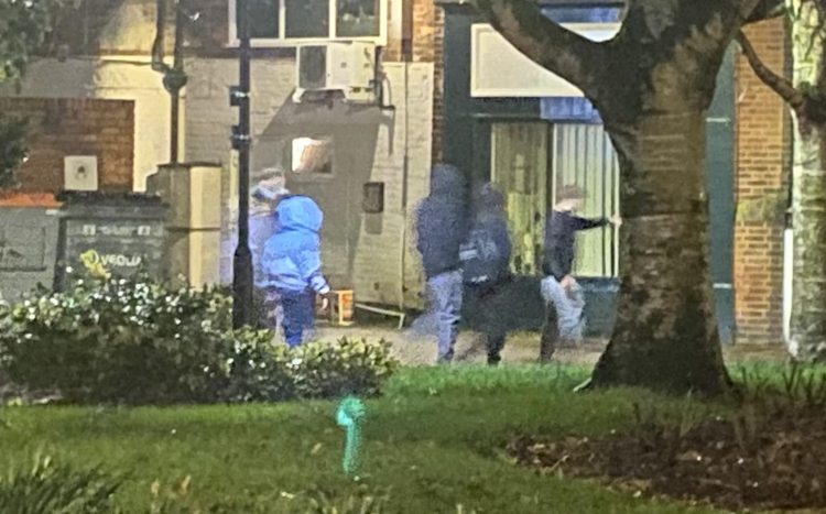 Youths sought after disabled person’s dog hit by shopping basket