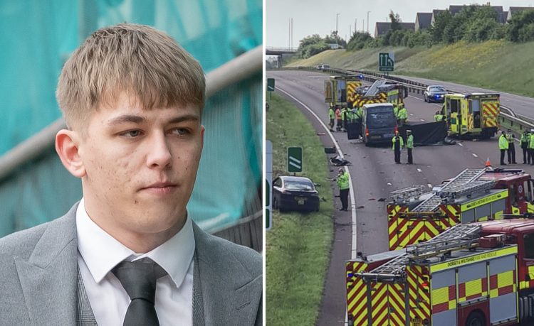 Driver who killed man in crash ‘failed to spot broken down car’ on A419