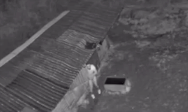 Naked man ‘spends time in pony’s stable’ as police launch probe