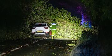 Bath man, 50s, dies after huge tree crushes car during Storm Henk