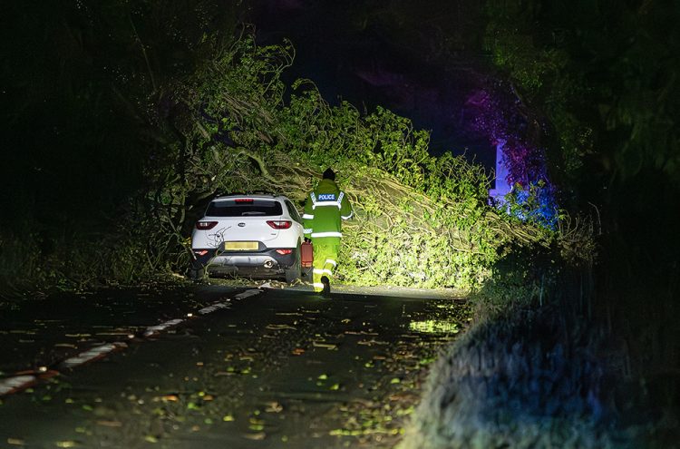 Bath man, 50s, dies after huge tree crushes car during Storm Henk