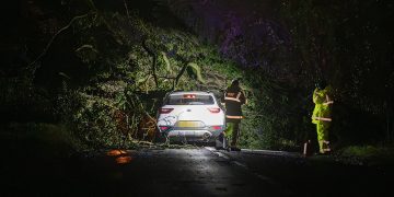 Storm Henk: Person dies as car crushed by tree near Malmesbury
