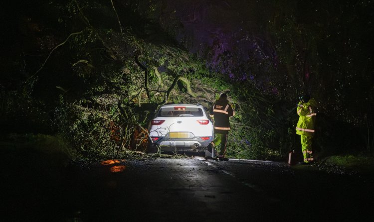 Storm Henk: Person dies as car crushed by tree near Malmesbury