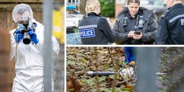 Woman, 56, stabbed to death before prime suspect, 18, hit by train