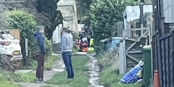 Attempted murder arrest as woman, 24, stabbed in head and neck
