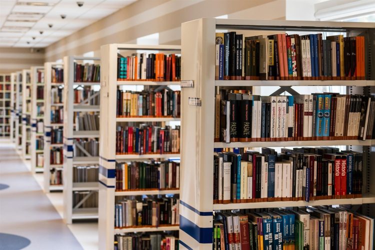 Innovation in Wiltshire’s Classrooms: A Spotlight on Educational Initiatives