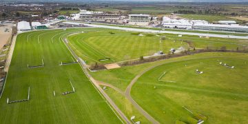 Horse put to sleep after fall on first day of Cheltenham Festival
