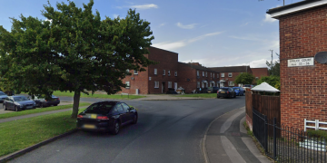 Swindon man ‘quite injured’ after fighting a tree, court hears