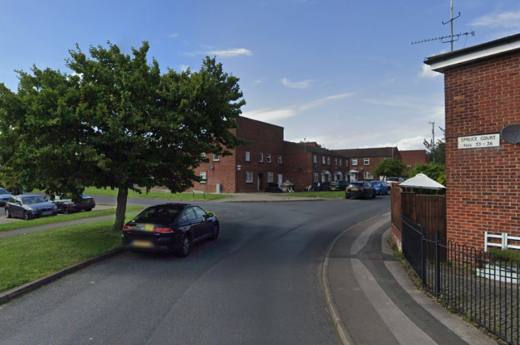 Swindon man ‘quite injured’ after fighting a tree, court hears