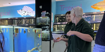 Many fish killed in horror ‘poisoning’ at Swindon aquatics centre