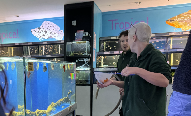 Many fish killed in horror ‘poisoning’ at Swindon aquatics centre