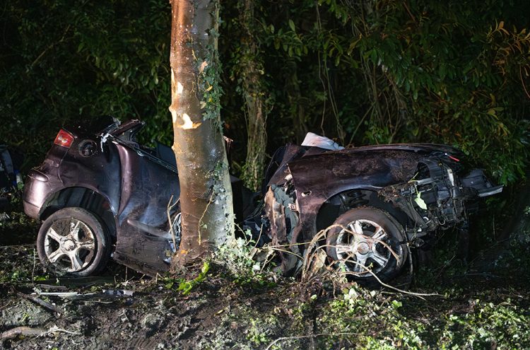 Woman critically injured after crashing car into tree near Westbury