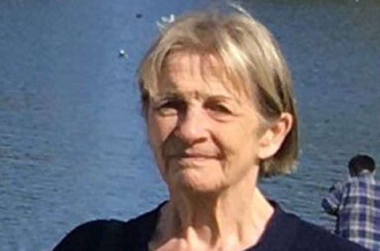 Body found in 16-day search for missing south Wiltshire woman