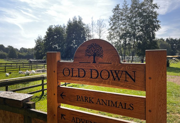 Staff devastated As Animals Killed In Old Down Country Park Fire staff-devastated-as-animals-killed-in-old-down-country-park-fire