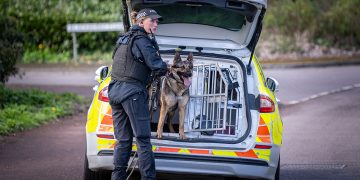 Police flood Chippenham estate after wanted suspect spotted
