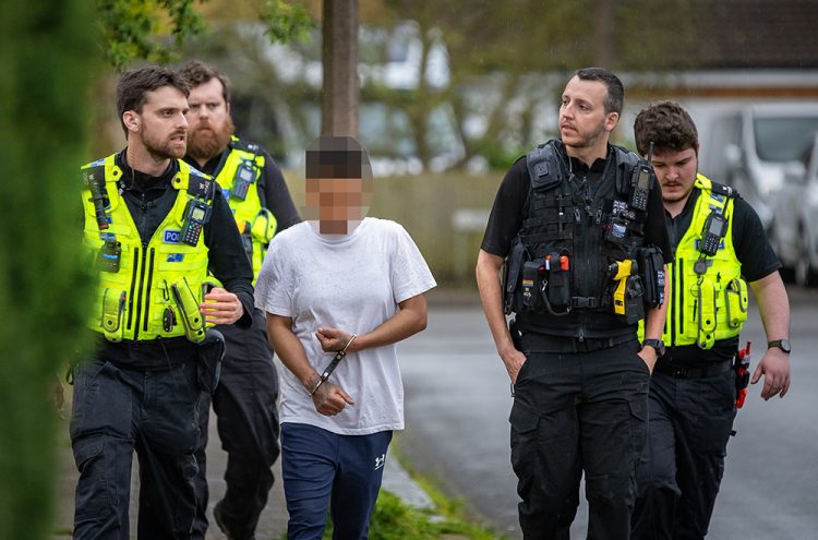 Woman arrested after police called to disorder in Chippenham