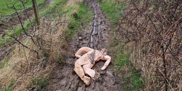 ‘Murder scene’ discovered by dog walker actually blow-up doll