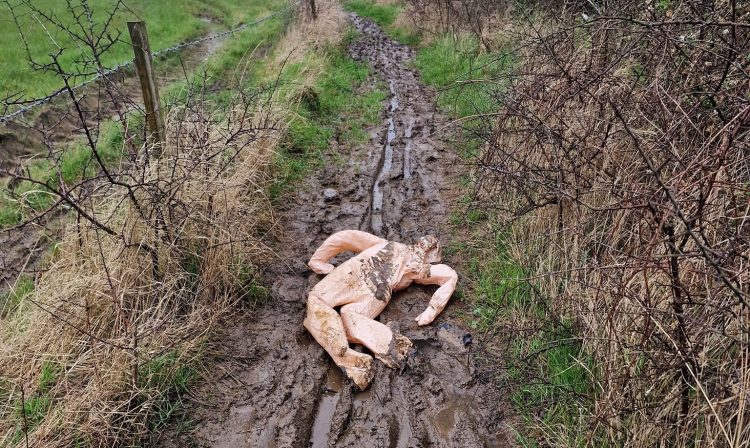 ‘Murder scene’ discovered by dog walker actually blow-up doll