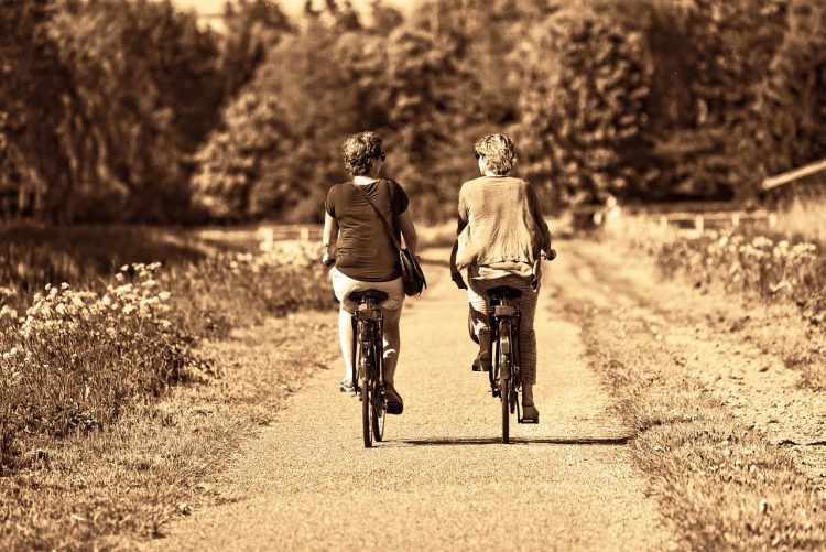 Wiltshire Council awarded huge £375K from Active Travel England