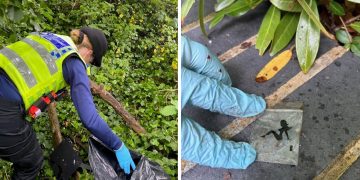 Police ask owner of tiny ‘baggie’ found in bush to come forward