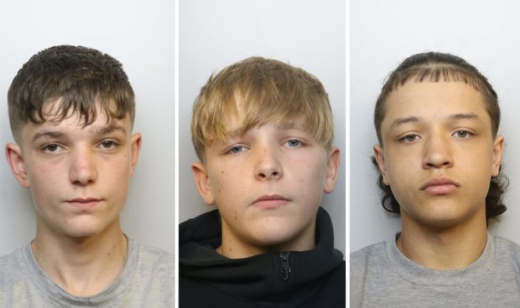 Wiltshire teen among trio jailed after house party murder in Bath