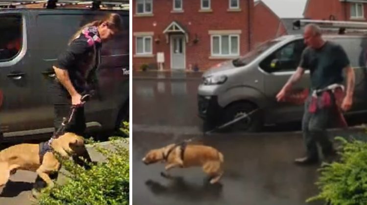 Woman suffers puncture wounds in Melksham dog attack